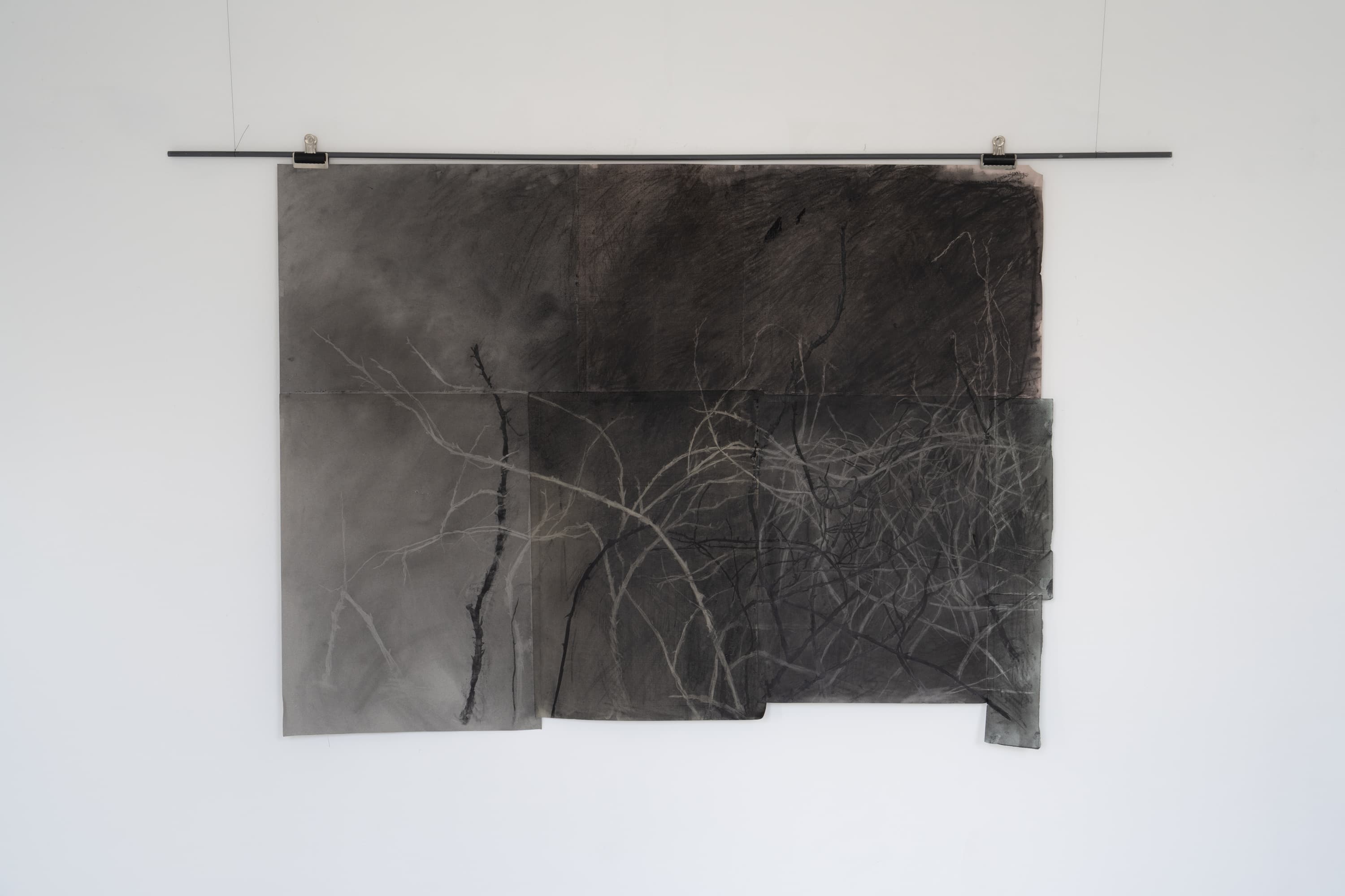 Charcoal on card