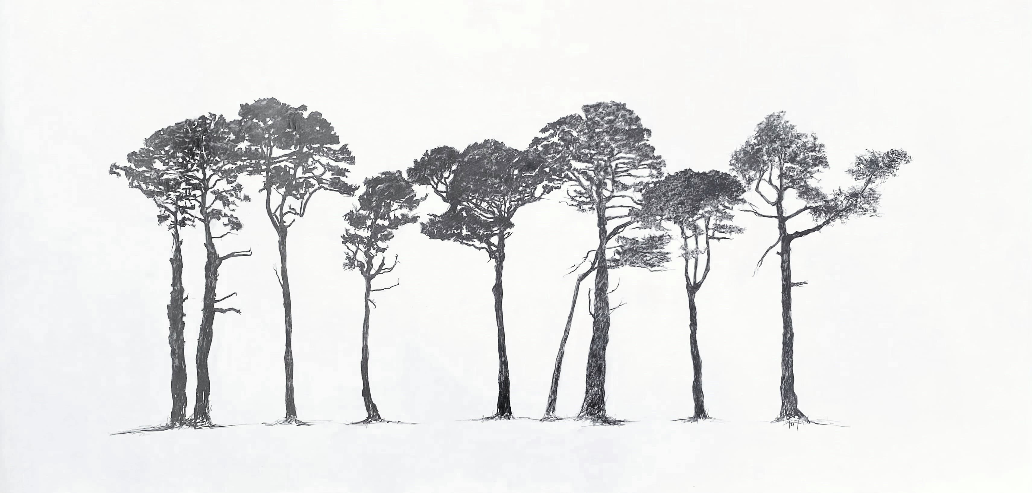 Row of 8